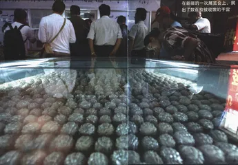 “东突”头目艾山和他的组织2