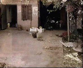 萨达姆被俘后的伊拉克局势0