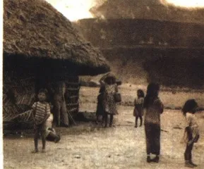 《丁丁历险记》：画在纸上的历史7
