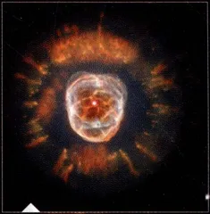 太阳之死9