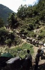 走茶马古道2