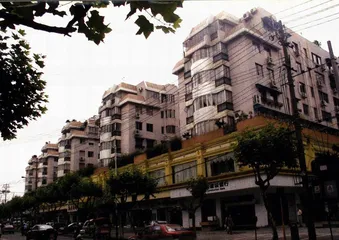 杨秀珠的钱与权1