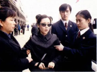 政治小说家的平衡之道4