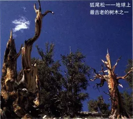 活到150岁2