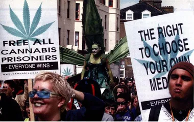 美国和欧洲的“大麻新论战”