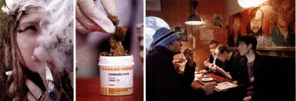 美国和欧洲的“大麻新论战”1