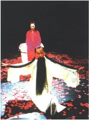 穆桂英，移步换形1