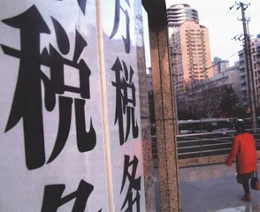 纳税人与审计署2