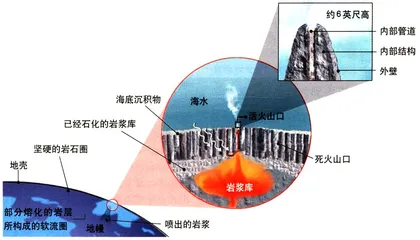 生命从水深火热中开始2