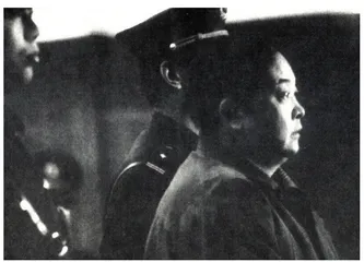 推动司法进程的事件