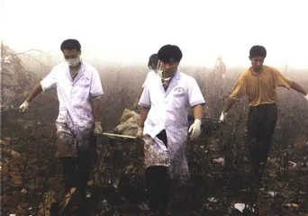 辛集烟花爆炸案
