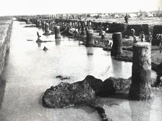 淮河水患的全流域考察报告4