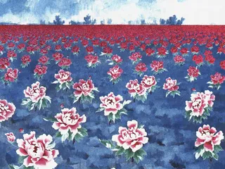 不合作有不合作的理由