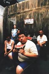 顾长卫：等待《孔雀》开屏