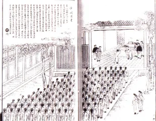 共和7