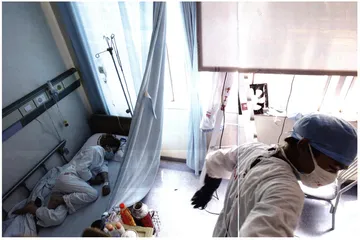 SARS政治