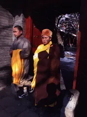 少林功夫的家底6