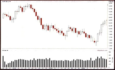 一场事先张扬的金融战1