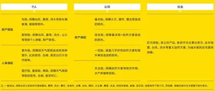 极端天气重整保险业2