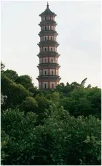 游散之岛:事仔、船坞、海员墓地与大造荔枝9