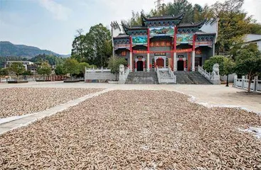 浏阳,中间地带4