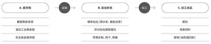 昆虫蛋白,你敢吃吗?1