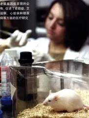 越小越美丽8