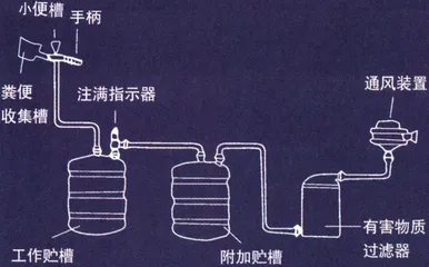 太空里的番茄和“细胞婚礼”2
