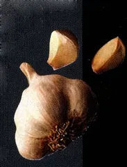 重访吸血鬼3