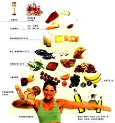 重建食物金字塔