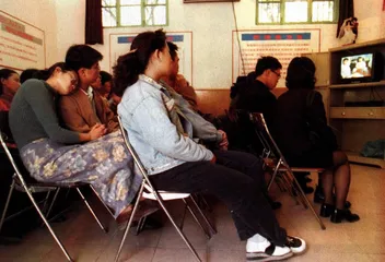 性成了一个问题1