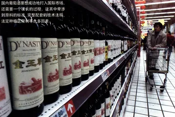中国葡萄酒的多标准生存