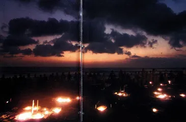 巴厘岛：天堂炸弹8