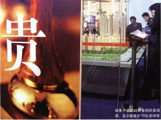 居者购其屋：重新定义城市2