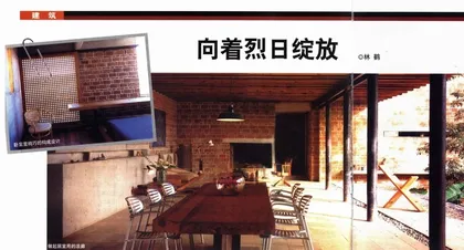 向着烈日绽放
