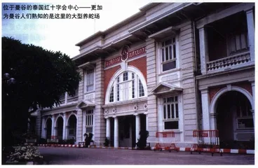 AIDS人体试验场9