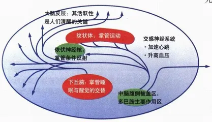 专访中国睡眠协会理事长黄席珍教授1