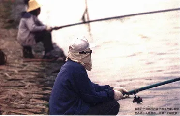 清洗滇池100亿够不够