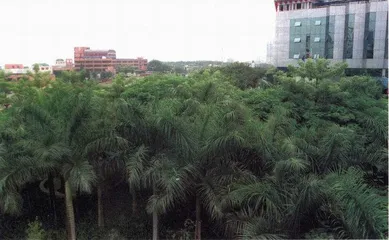 房间外的感官世界1