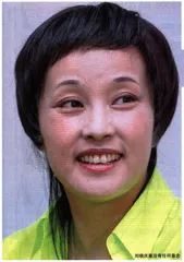 刘晓庆：不得不发生的税案