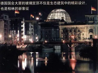 绿色地栖居2