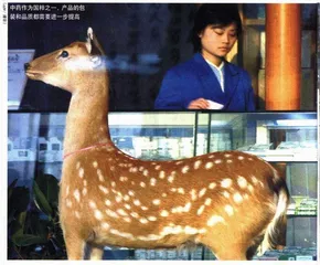 中药的欧盟“通行证”