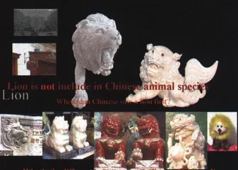艺术不怕远征难4