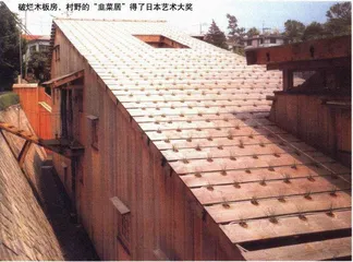 种桃种李种春风2