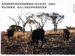 被地球劫持的峰会3