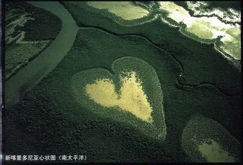 摄影：像一只鸟掠过地球5