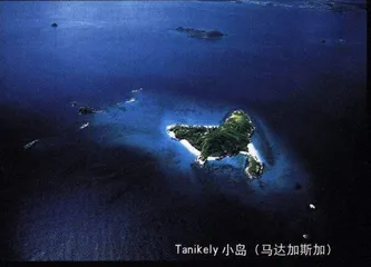 摄影：像一只鸟掠过地球6