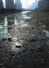 上海自来水来自海上？2