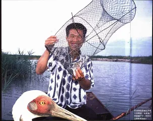 鹤乡是否天堂依旧