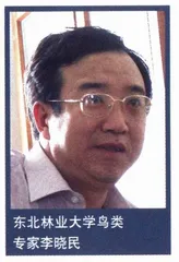 鹤乡是否天堂依旧5
